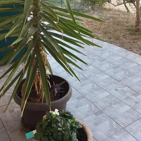 Butterfly - For Rest And Relaxation Apartamento *