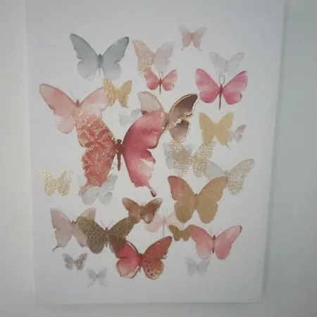 Butterfly - For Rest And Relaxation * 斯普利特